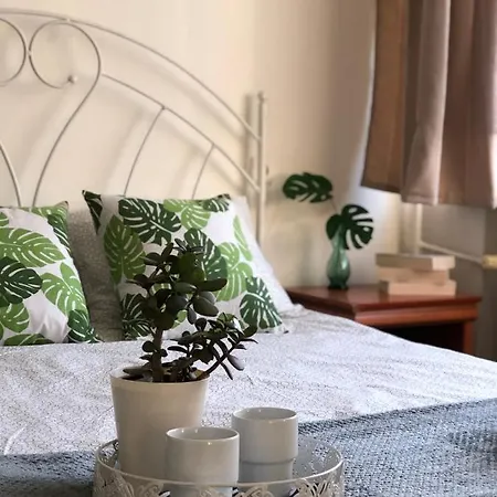 Jachtklub 埃尔布隆格